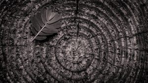 Employer branding mayores de 50 años Marketing de recursos humanos